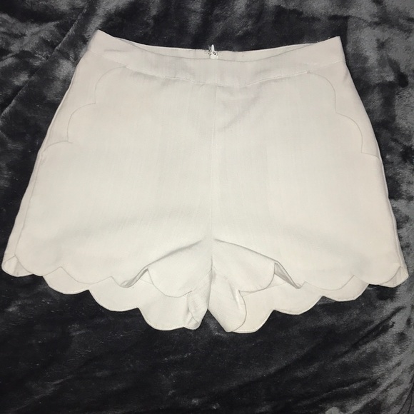 The Impeccable Pig Pants - Shorts